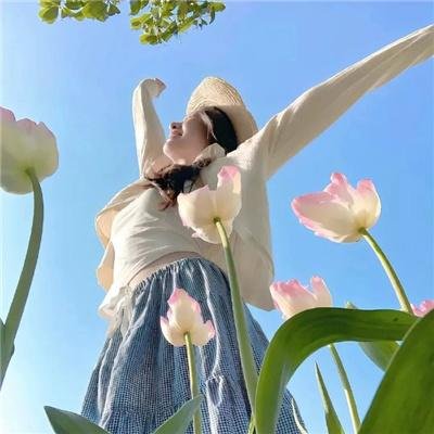 我在六扇门的日子